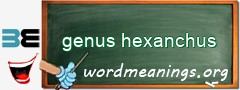 WordMeaning blackboard for genus hexanchus